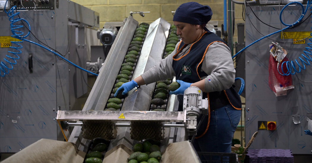 Rates add new shock to food supply channels star-news.press/wp