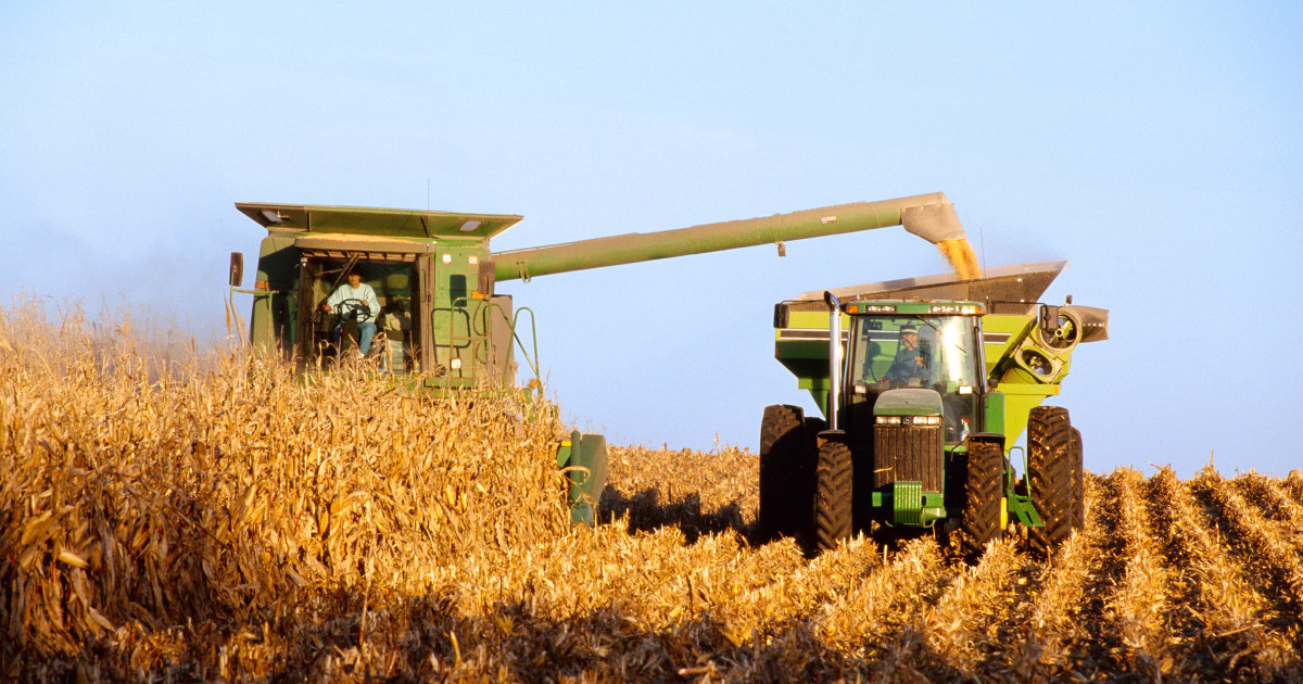 Farmers face steep losses in the middle of Trump Trade War and funding funds star-news.press/wp