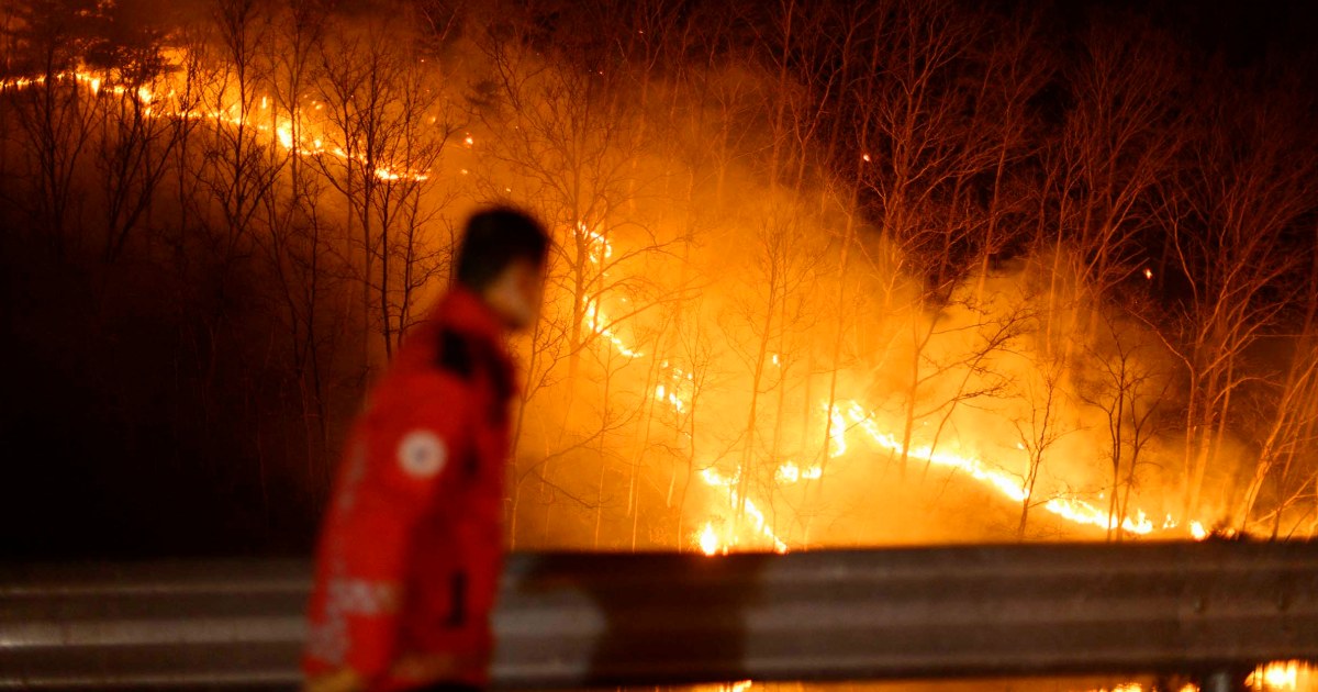 South Korea is uphill battle for the contents of massive fires such as Tull fatally rose to 26 star-news.press/wp