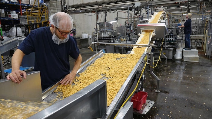 Prices: In the food industry and you influences star-news.press/wp