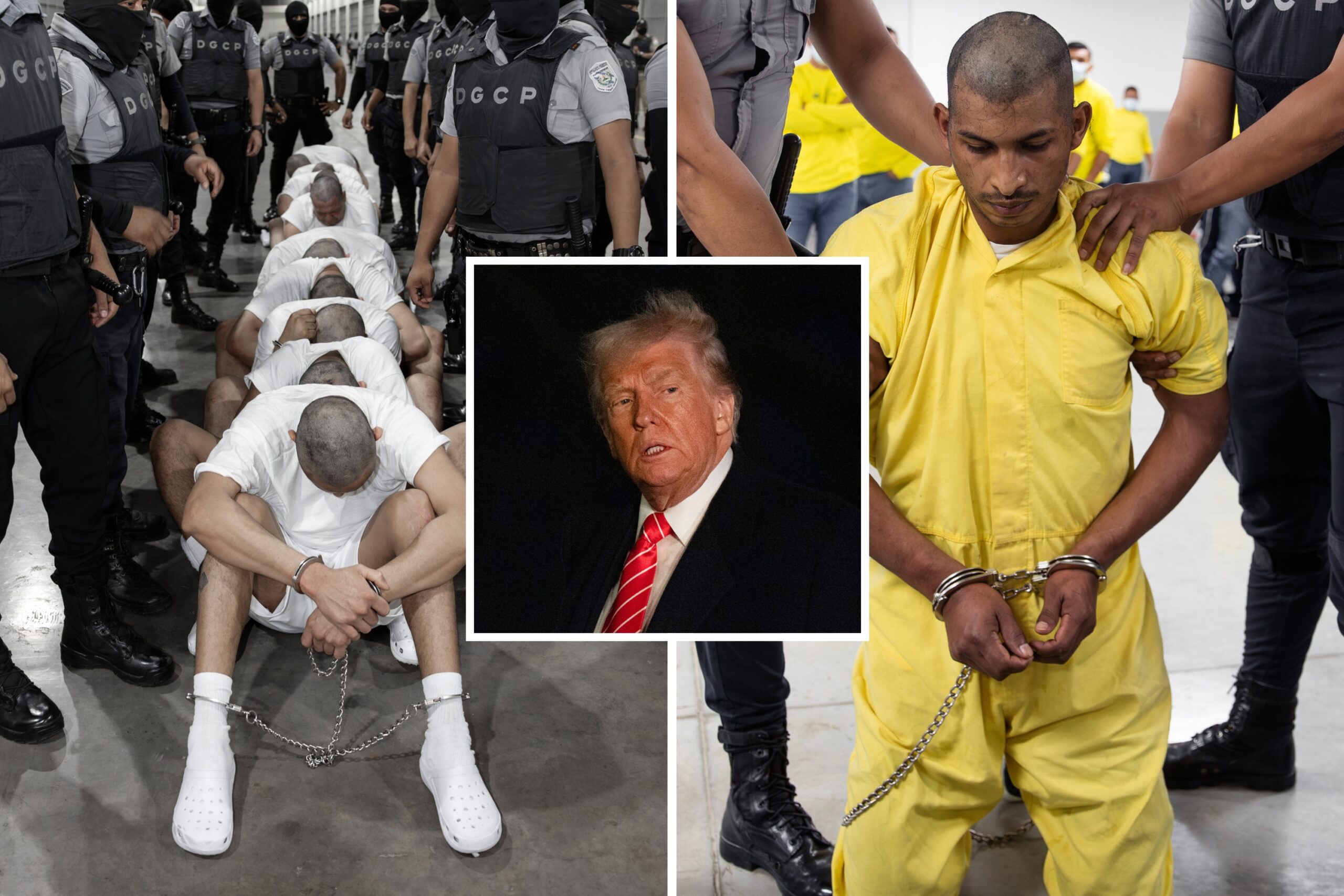 Which deportation government means for Donald Trump immigration plans star-news.press/wp