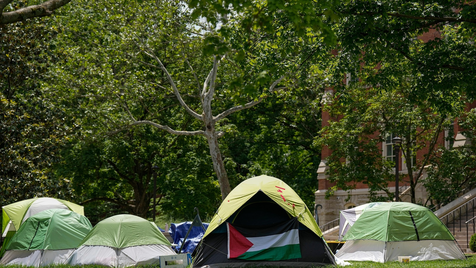 Private groups work on identification, report student demonstrations for possible deportation star-news.press/wp