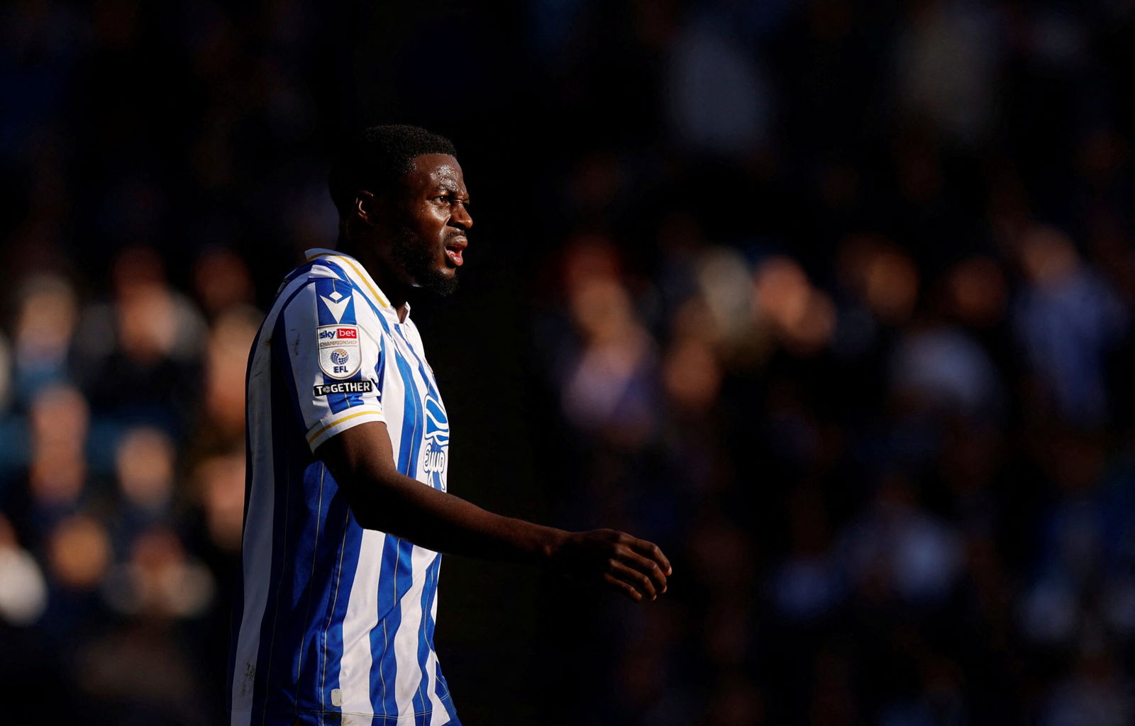 Sheffield Wednesday: DOM IORFA injury last star-news.press/wp