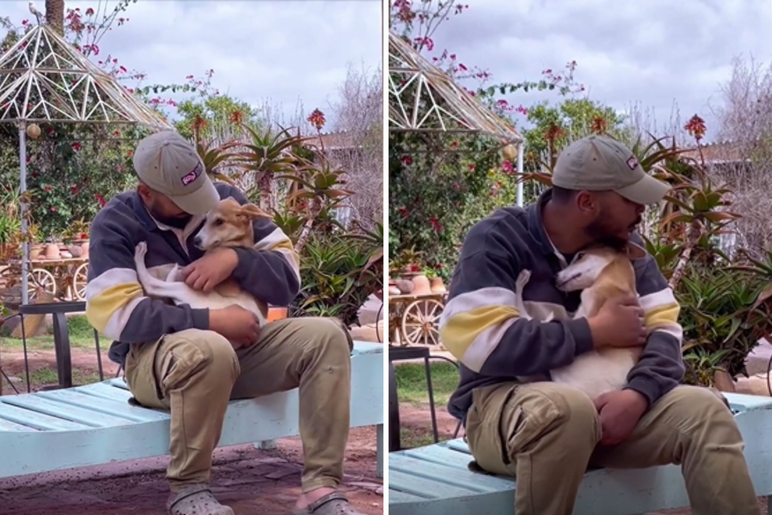 Tears at the moment of a wanderer "finally feels safe after rescue star-news.press/wp