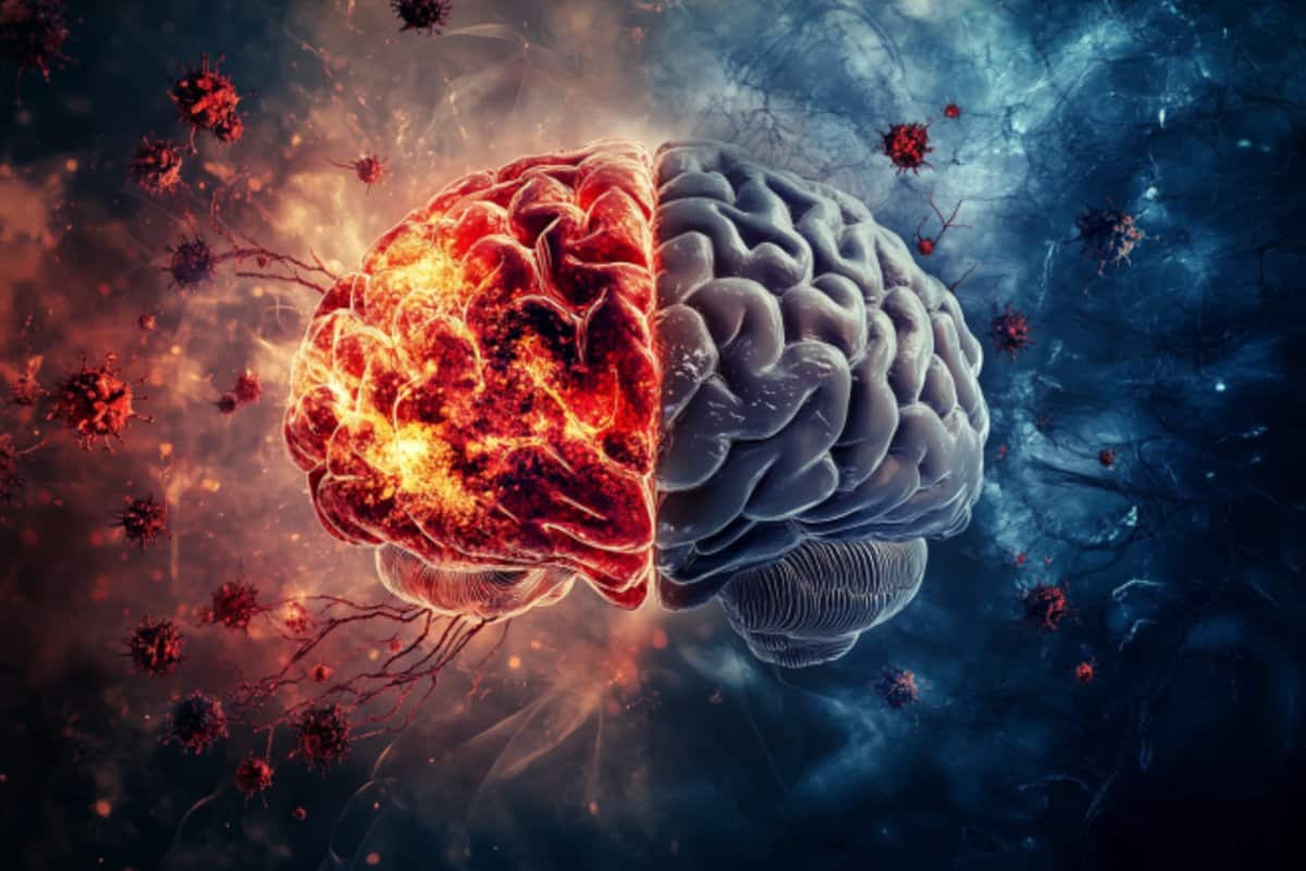 Addiction accelerates the aging of the brain through distinctive molecular paths star-news.press/wp