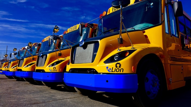 Potential buyers of electric lion are trying to save time star-news.press/wp