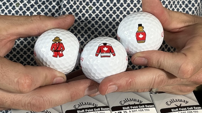 American destinations are trying to attract Canadian tourists with discounts star-news.press/wp