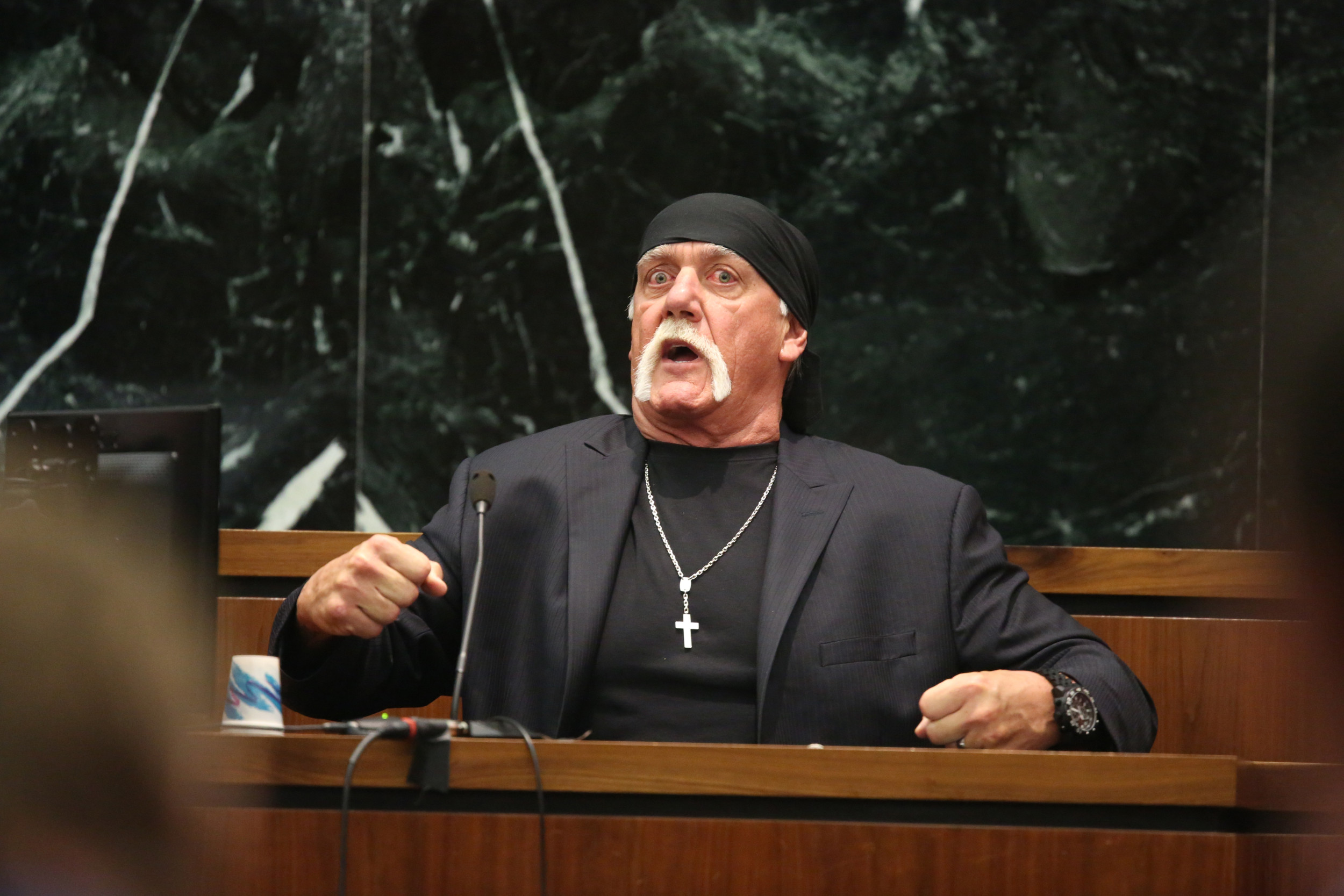 WWE Veteran says Hulk Hogan 'disqualified' from Pro Wrustling Mount Rushmore star-news.press/wp