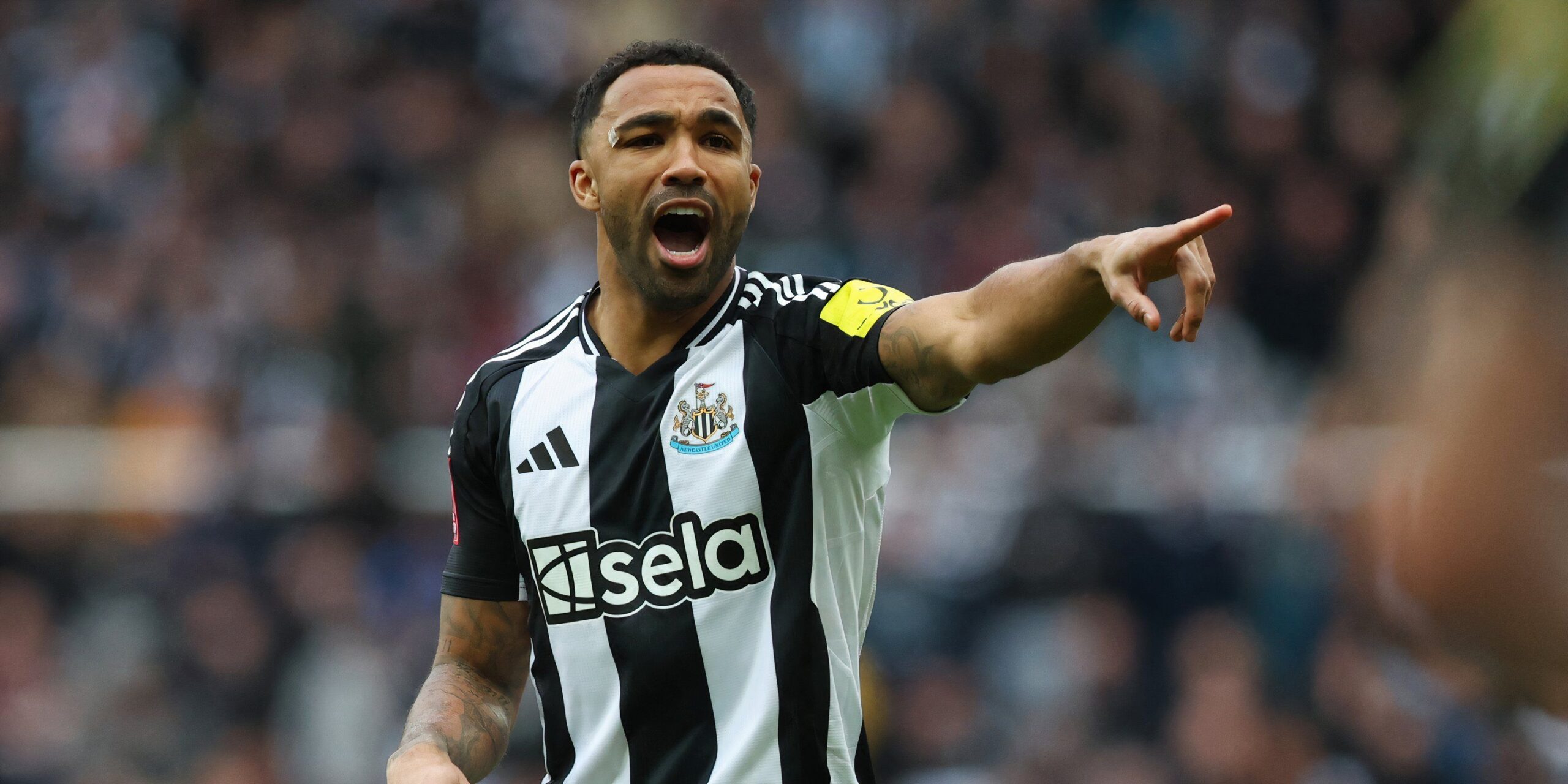Potter could shoot Wilson if West Ham moves £ 50 million "shameful" star-news.press/wp