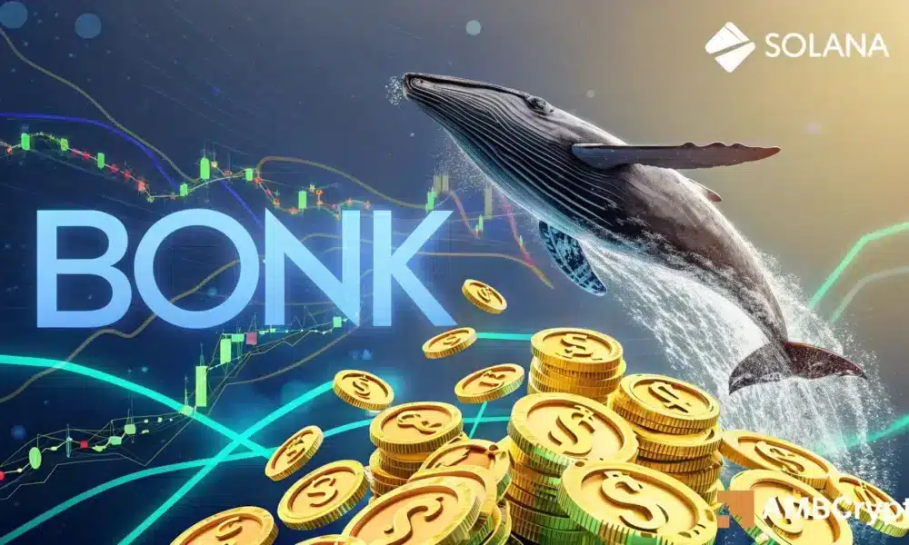 Bonk can see a big reflection, unless this happens first star-news.press/wp