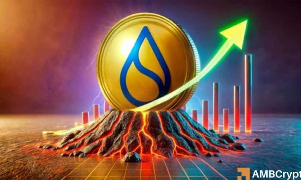 A dreamy dream $ 22: Raul Pal Massar sees "Best 5" for "The Killer Solana" star-news.press/wp