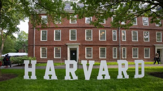 Us offers to host some Harvard international students amid Trump's disorders star-news.press/wp
