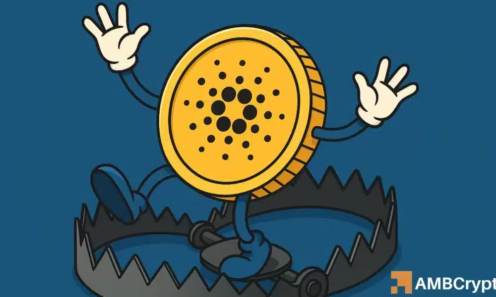 Cardano does $ 48 million - ADA 26 % Rally Trap? star-news.press/wp
