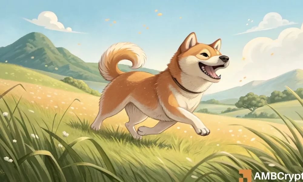 Bonk Crypto Puscent Top: Is a step exceeding $ 0.000025 after that? star-news.press/wp