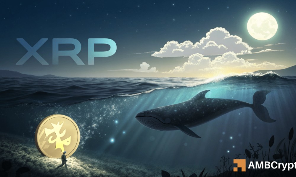 $ 500 million in XRP move! - How can whales lead their next gathering star-news.press/wp
