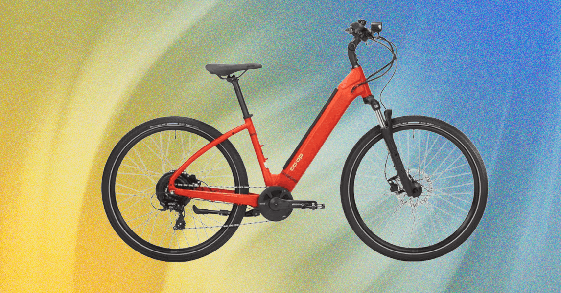 How to buy an electric bike (2025): classes, extent and repairs