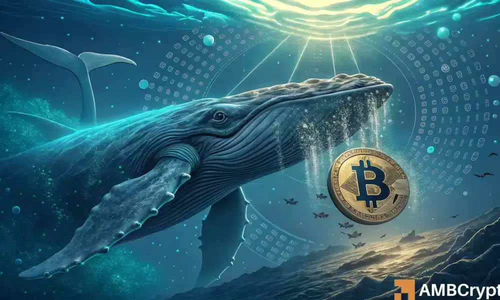 Bitcoin - $ 8.69B in BTC was transferred: Why are these questions that raise whale whale? star-news.press/wp