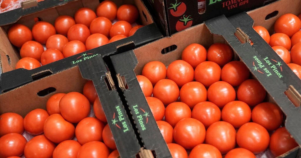 The Trump administration imposes a 17 % tariff on fresh Mexican tomatoes star-news.press/wp