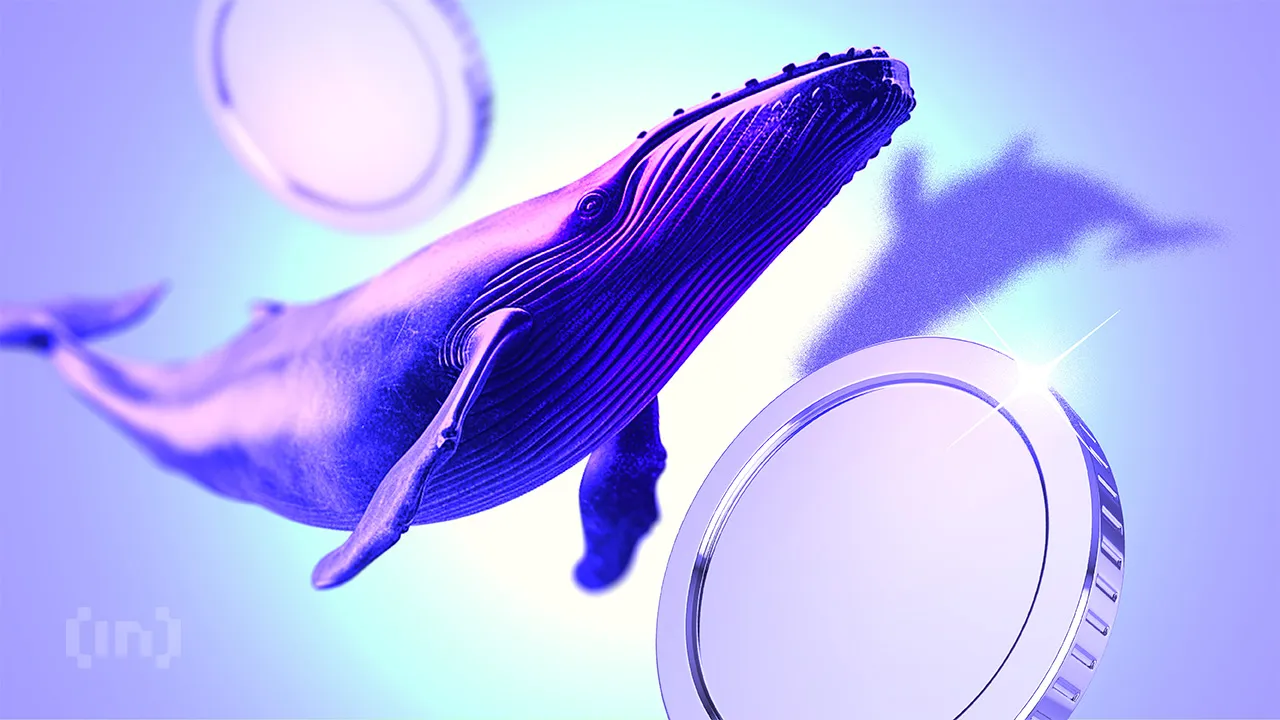 The encrypted whales attracted these three altcoins after the American organizational victory star-news.press/wp