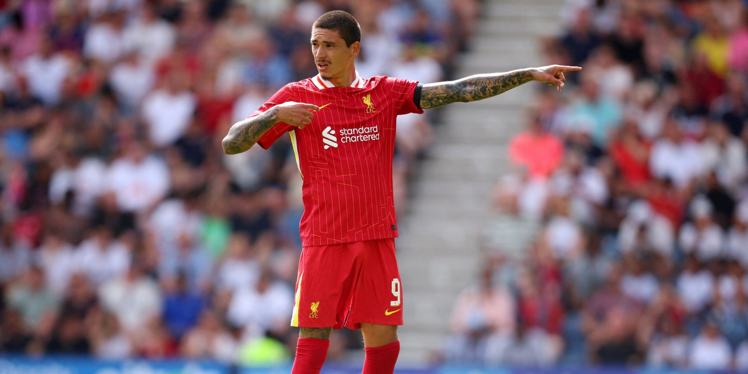 Liverpool Hold "Phone Call" to replace Darwin Nunez to sign £ 75 million star-news.press/wp