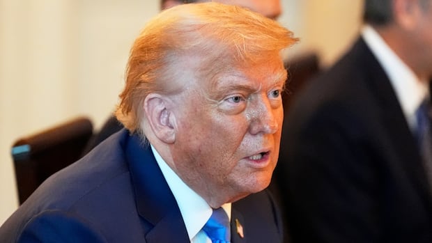 Trump says we will have to "send Ukraine to more weapons so that it can defend itself star-news.press/wp