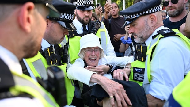 London Police is arresting hundreds of pro -Palestinian demonstrators challenging the new UK law star-news.press/wp