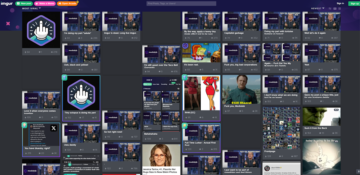 The IMGUR protest covers the first page in the anti -medium aimalizations