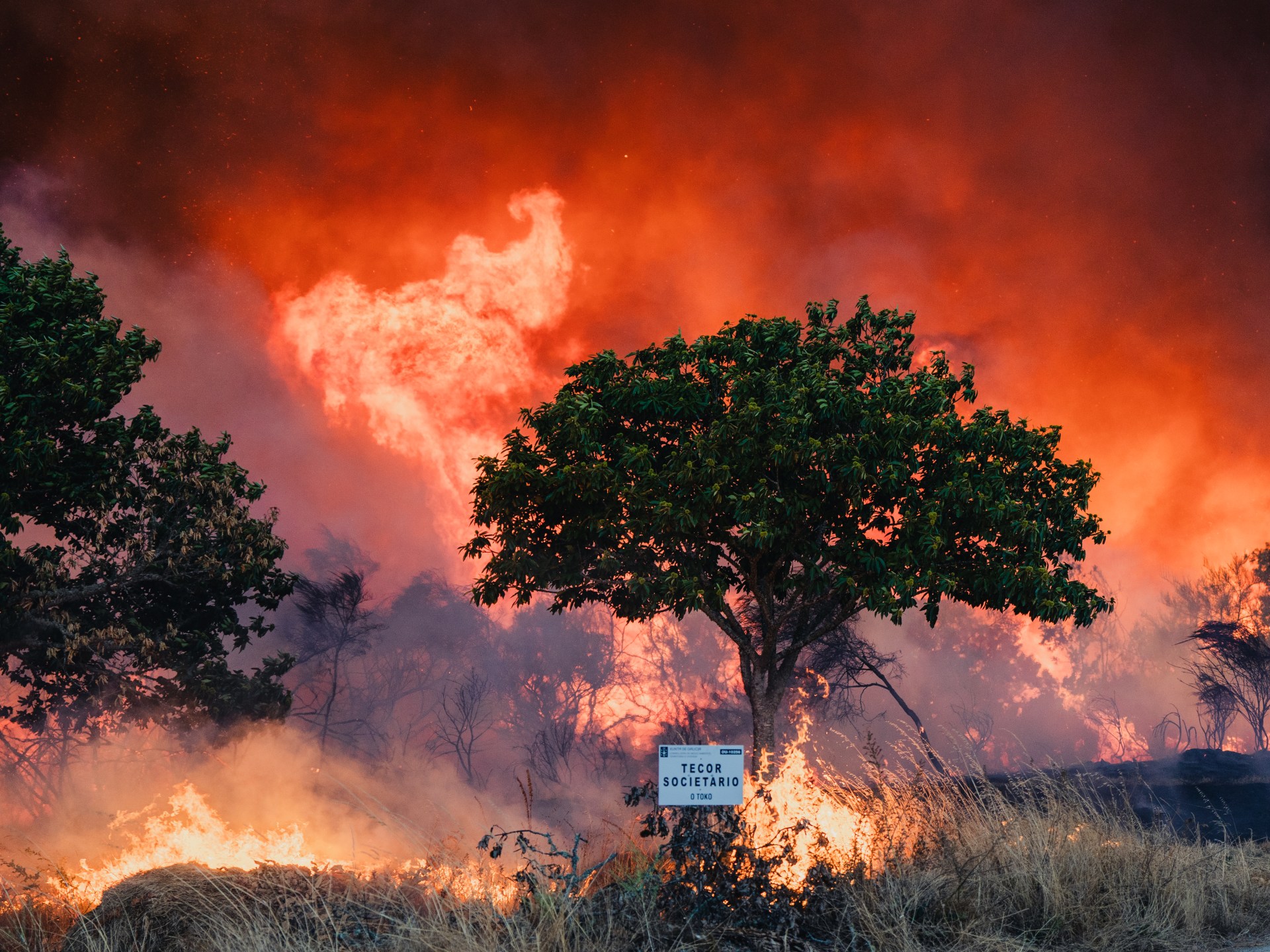 Forest fires throughout Spain and Portugal as a record of burning land Climate News star-news.press/wp