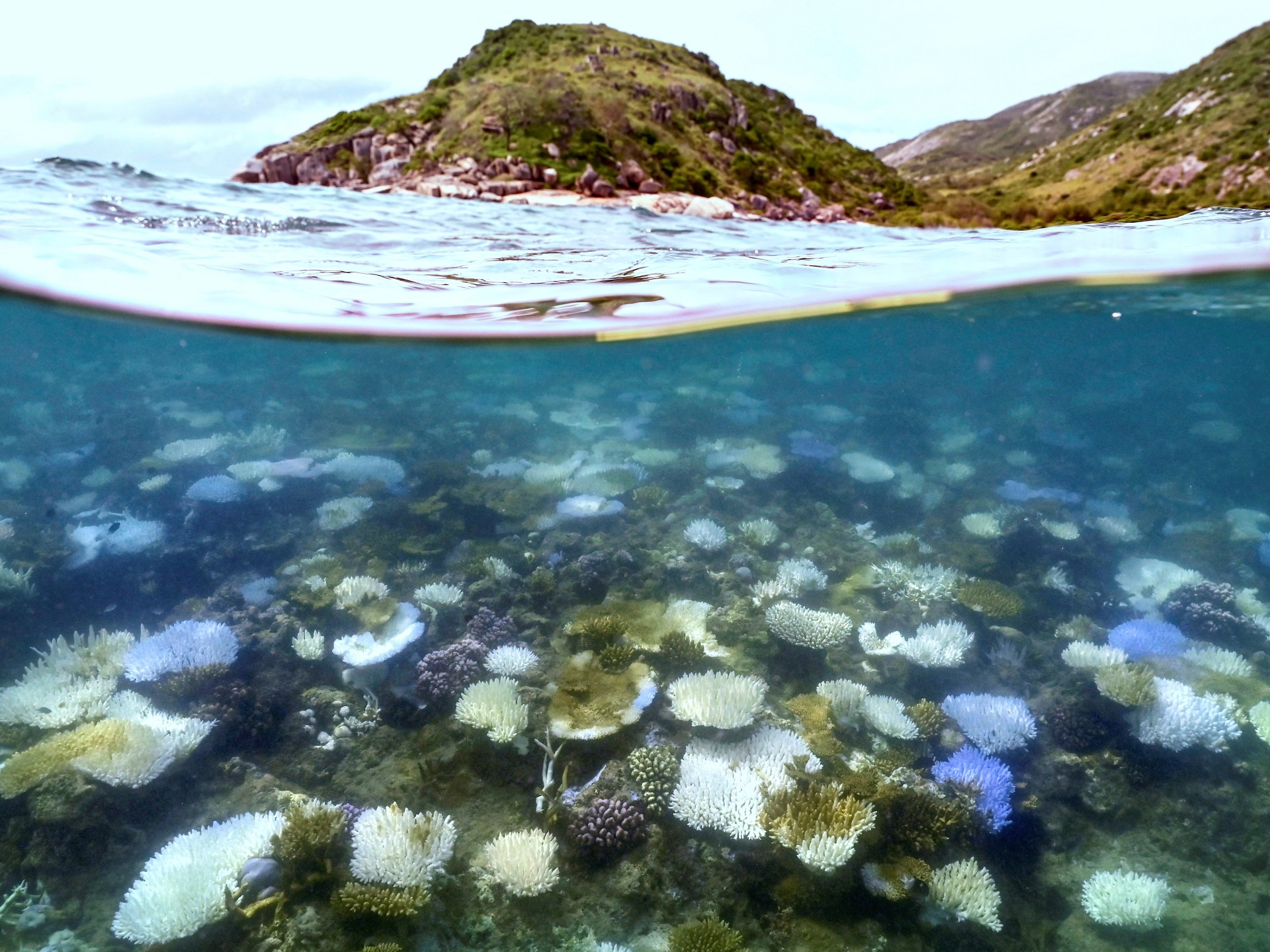 The great coral barrier in Australia was hit with standard whitening while the oceans are warm Climate crisis news star-news.press/wp