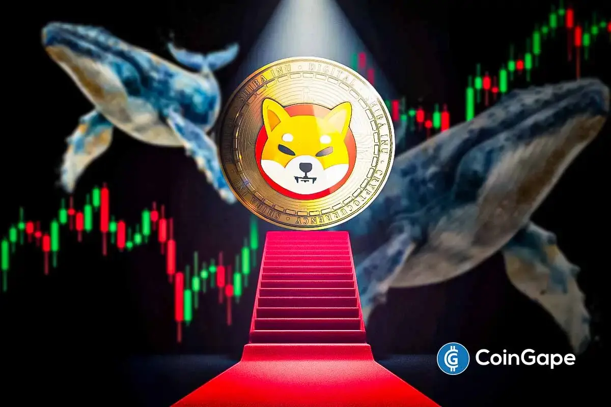 The analyst predicts the gathering of Shiba Inu prices, as whale transactions with external flows of time- time to buy? star-news.press/wp