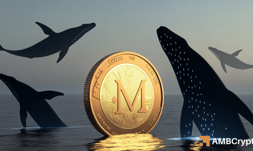 Glory: fluctuation forward? Pisces activity can feed MNT profit star-news.press/wp