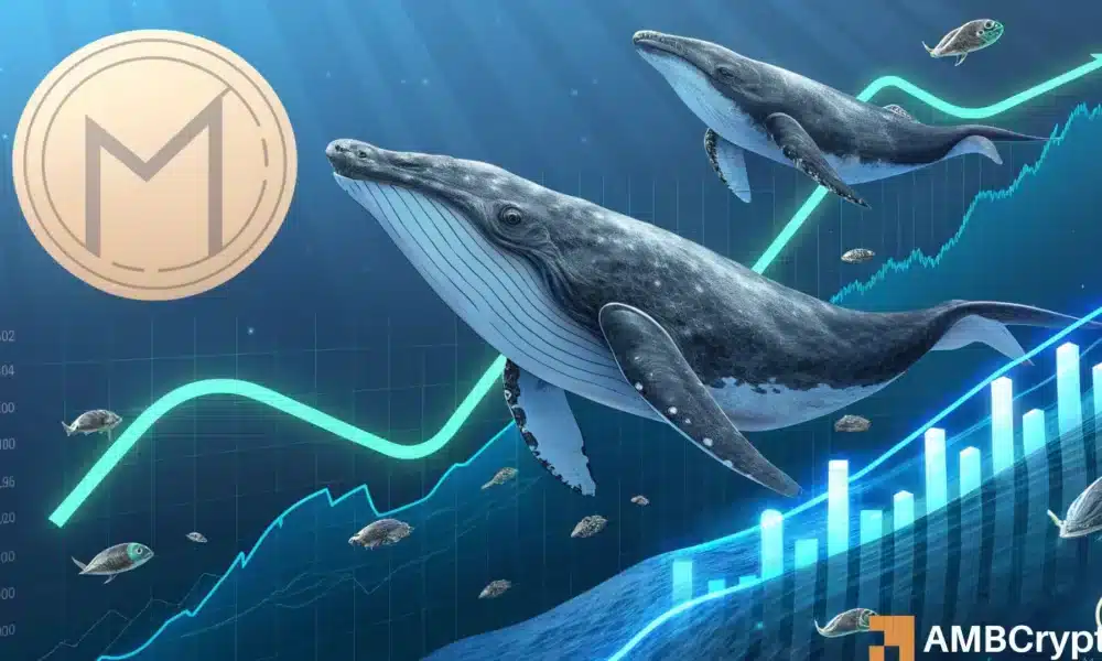 Mantle 12 % rises - How this MNT can help recover $ 1.40 star-news.press/wp