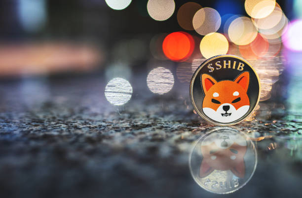 Shiba Inu 699,000 % imbalance: What happened to run it? star-news.press/wp