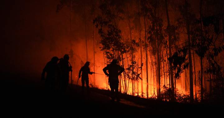 Forest fires in southern Europe leave 3 dead, thousands of displaced - patriotic star-news.press/wp