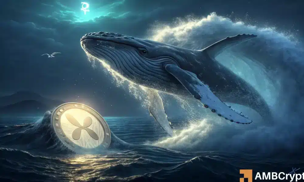 XRP climbs to $ 3 - but selling a $ 6 billion whale raises red flags! star-news.press/wp