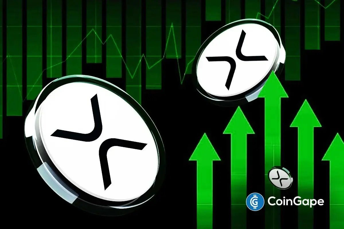 Dech Cross analysts analyzes the XRP price with increased exchange flows star-news.press/wp