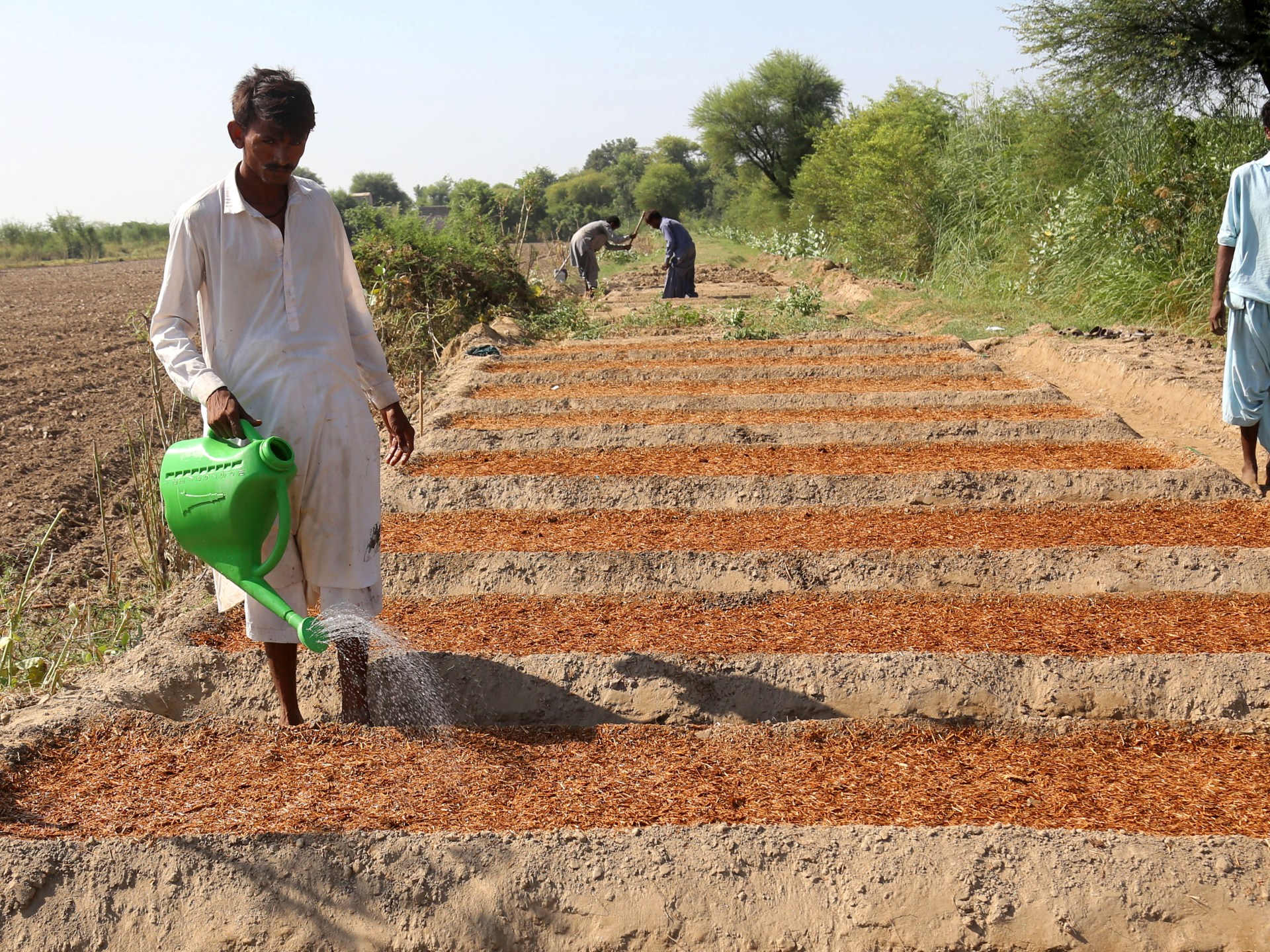 The battle of farmers in Pakistan is the battle of floods and the climate -based crisis Agriculture news star-news.press/wp