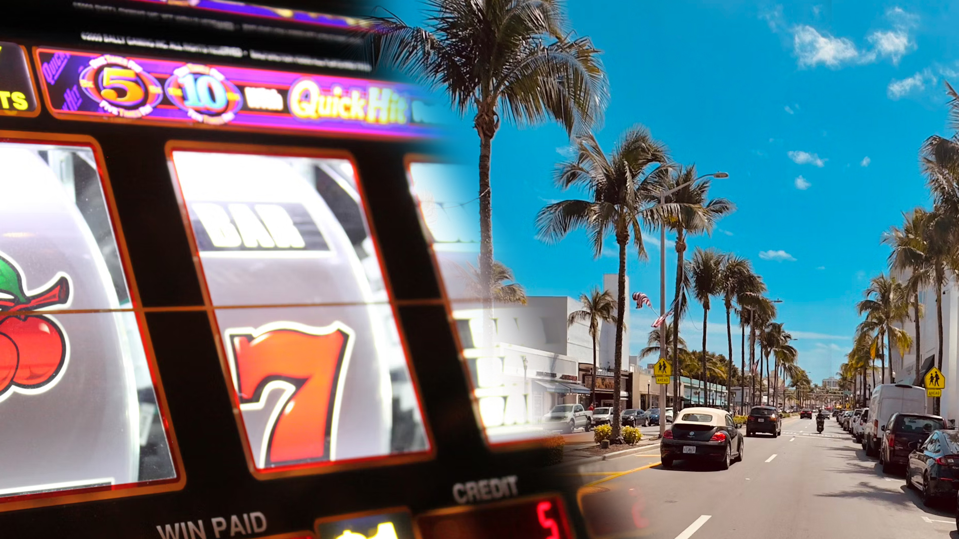 Almost 250 holes are seized in Florida illegal statues