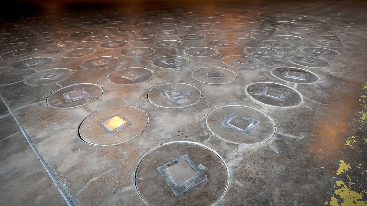 There is a radioned wasp in the South Carolina website for the nuclear bomb star-news.press/wp