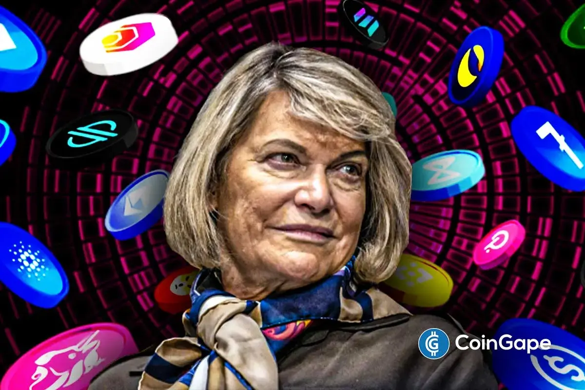 A conference to pass the Bill in the Temple of the Current Market this year: Lummis star-news.press/wp