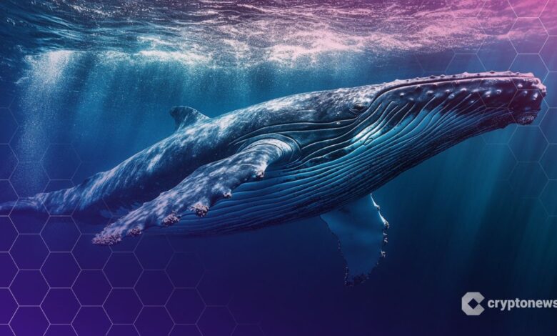 The whales that are betting on the WLFI associated with Trump bleeding millions as well as the distinctive symbol star-news.press/wp