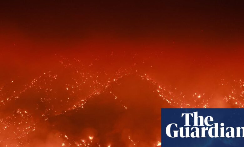 The climate crisis will increase the pace of forest fires that highlight lightning, and find study forest fires star-news.press/wp
