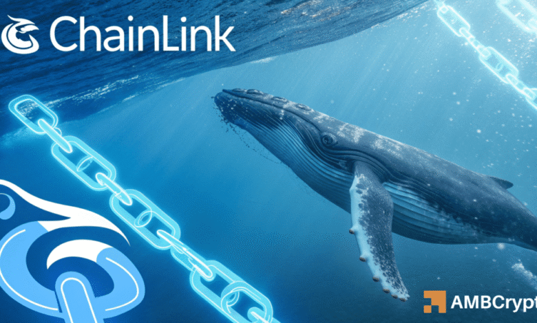 Whale Link 1.25M with tightening the offer- can the price reach $ 40? star-news.press/wp